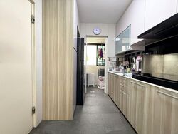 Blk 57 Havelock View (Bukit Merah), HDB 4 Rooms #527828031